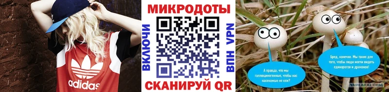 Псилоцибиновые грибы Cubensis  где можно купить наркотик  Бородино 